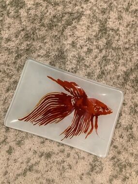 West Elm Red Betta Fish Glass Trinket Jewelry Soap  Dish RS 6”x4”